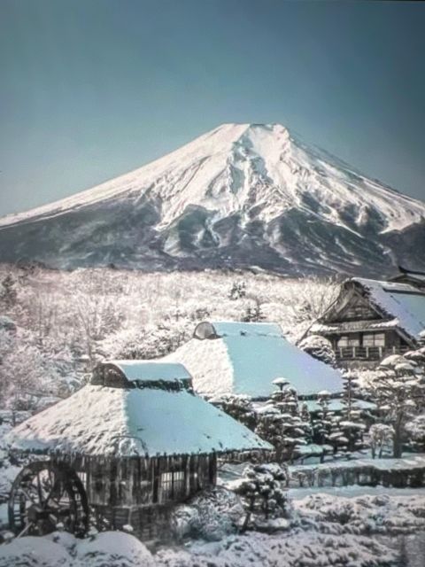 From Tokyo/Yokohama: Mount Fuji Private Tour With Pickup - Inclusions