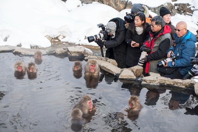 Full-Day Private Nagano Tour: Zenkoji Temple, Obuse, Jigokudani Monkey Park - Visitor Experiences and Recommendations