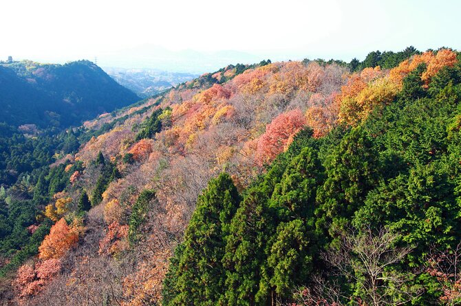 Full Day Private Tour in Hakone - Meeting Point and Duration