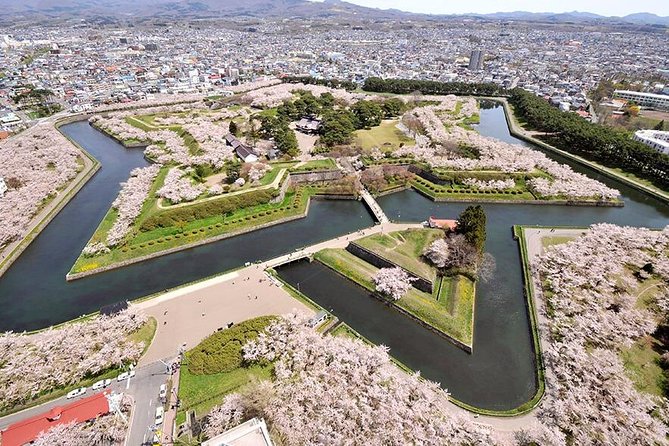 Hakodate Half-Day Private Tour With Government-Licensed Guide - What To Expect