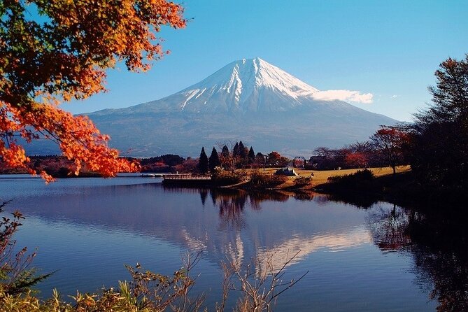 Hakone 6 Hour Private Tour With Government-Licensed Guide - What To Expect