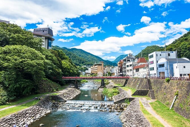 Hakone 8 Hour Private Tour With Government-Licensed Guide - Additional Information