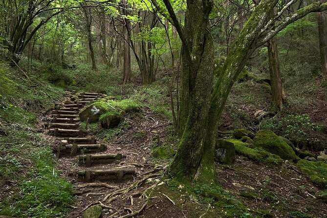 Hakone Old Tokaido Road and Volcano Full-Day Hiking Tour - Group Size