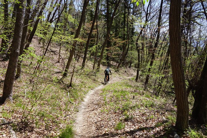 Half Day E-Bike Adventure Tour in Nagano - Safety Precautions