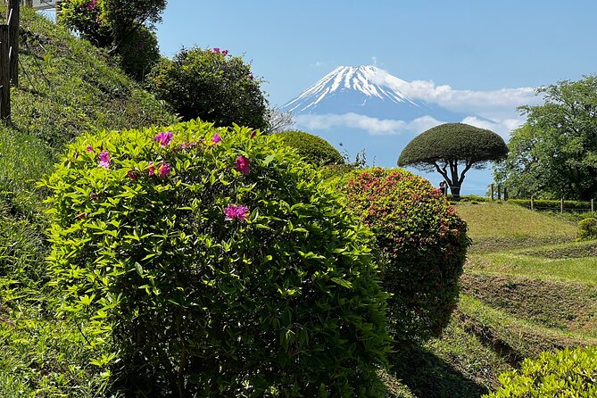 Hike Japan Heritage Hakone Hachiri With Certified Mountain Guide - From 6.34