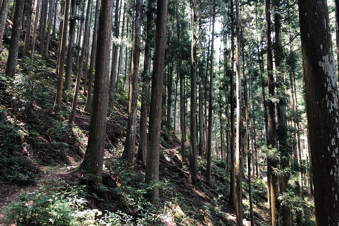 Historic and Natural Guided Hike in Yoshino - Cultural Encounters and Local Stories