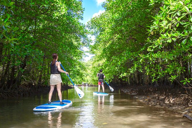 Iriomote Island, Okinawa - Canoeing Tour in a World Heritage Site - Traveler Photos