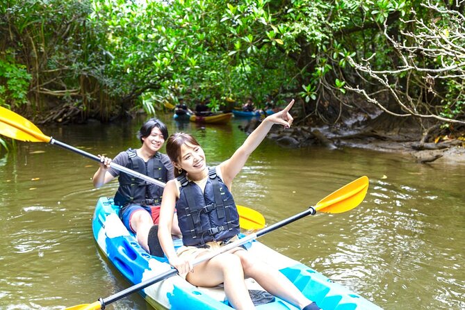 Iriomote SUP/Canoe Tour at Mangrove ForestSplash Canyoning!! - Reviews