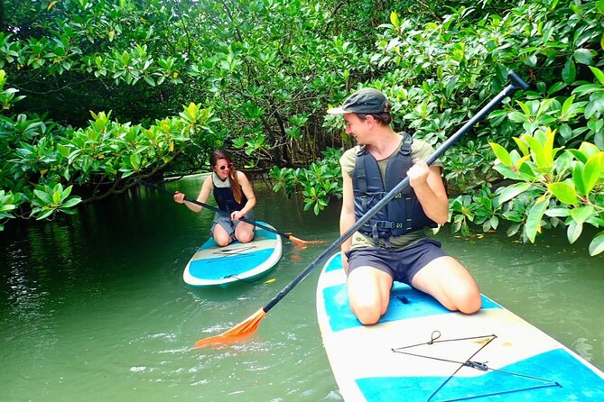 Ishigaki Mangrove SUP/Canoe Phantom Island Snorkeling - Tour Inclusions