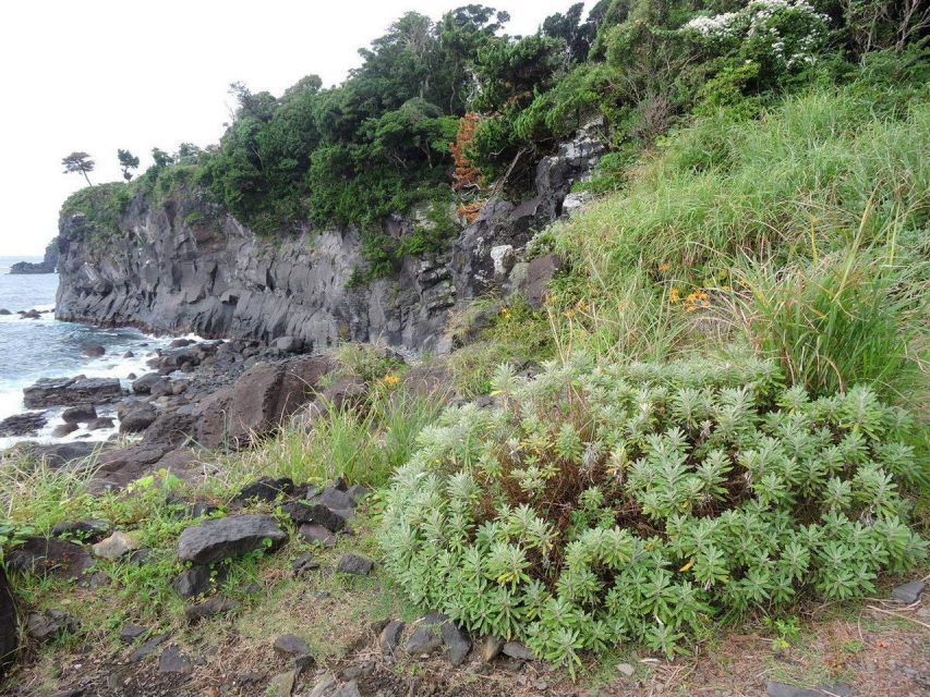 Izu Peninsula: Jogasaki Coast Experience - Explore Geological Marvels of Izu