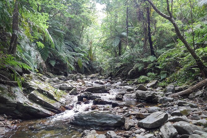 Jungle River Trek: Private Tour in Yanbaru, North Okinawa - What To Bring