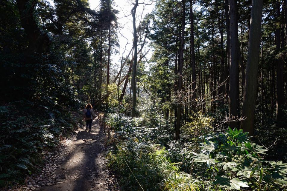 Kamakura: Daibutsu Hiking Trail Tour With Local Guide - Itinerary