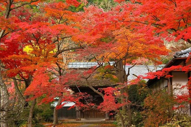 Kamakura Private Photoshoot Tour (Optional Kimono Wearing) - Tour Operator Details