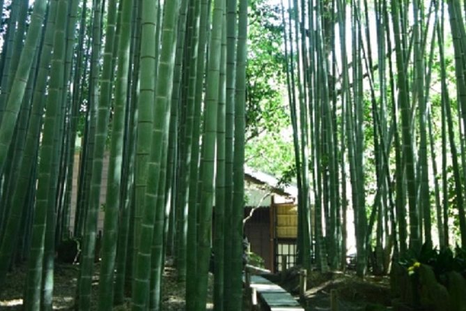 Kamakura Private Tour by Public Transportation - Reviews