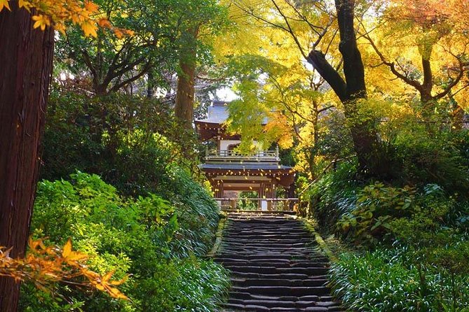 Kamakura Zen Temples and Gardens Private Trip With Government-Licensed Guide - Expectations