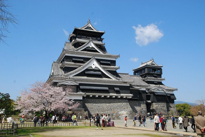 Kumamoto Custom Full Day Tour - Cancellation Policy