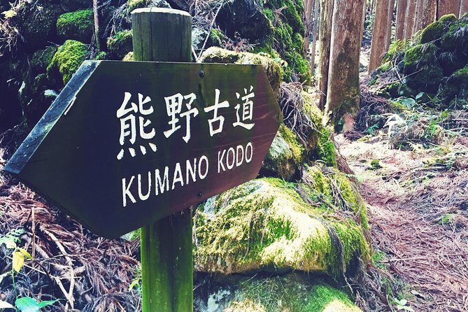 Kumano Kodo Pilgrimage Full-Day Private Trip With Government Licensed Guide - Reviews and Pricing Information