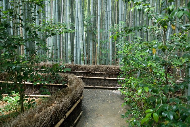 Kyoto Bamboo Forest Electric Bike Tour - Traveler Photos