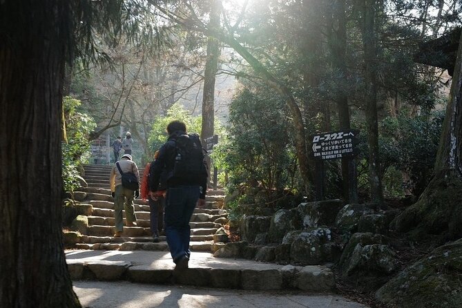 Miyajima Island Tour With Certified Local Guide - Experience Expectations