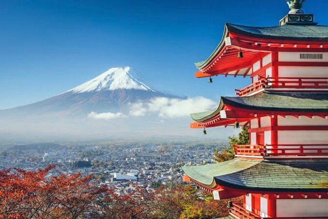 Mount Fuji and Hakone Private Tour With English Speaking Driver - Questions and Details