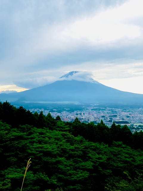 Mount Fuji Hakone With English-Speaking Guide - Itinerary