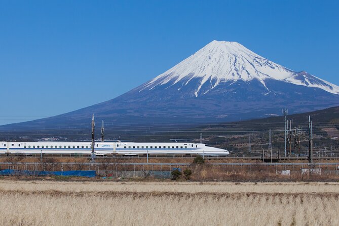 Mt. Fuji and Hakone Day Trip From Tokyo With Bullet Train Option - Cancellation Policy and Refunds