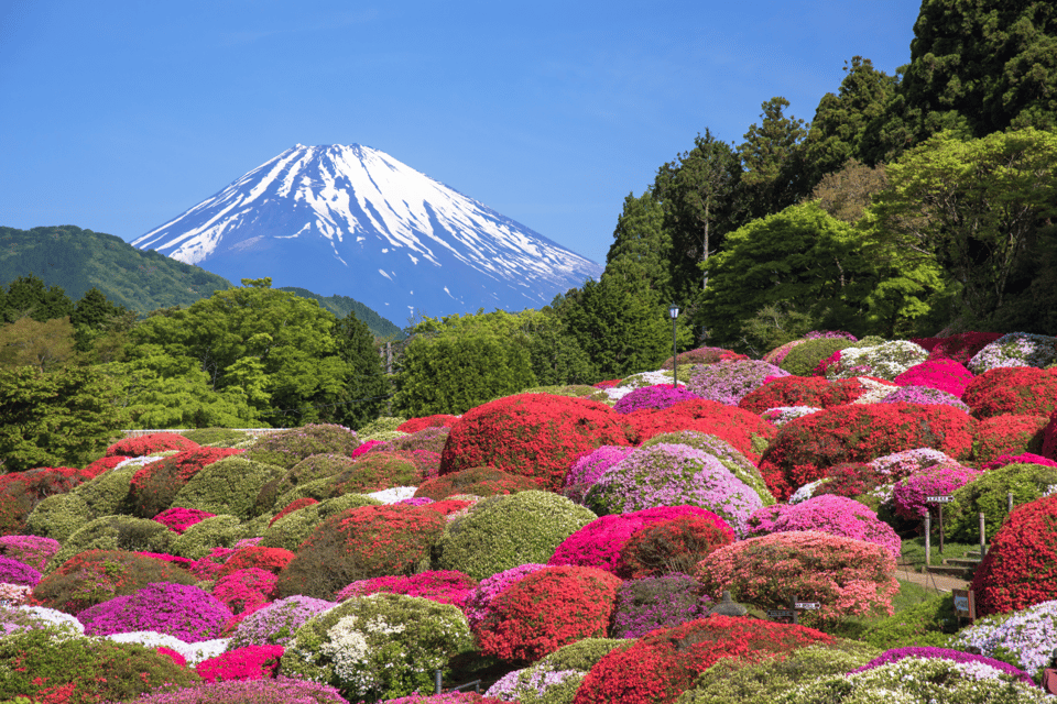 Mt.Fuji and Hakone Tour - Booking Information