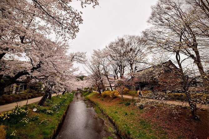 Mt Fuji Day Trip From Tokyo by Car With Photographer Guide - Traveler Photos Experience