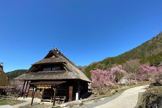 Mt Fuji Full-Day Tour By Car - Meeting Point and Pickup