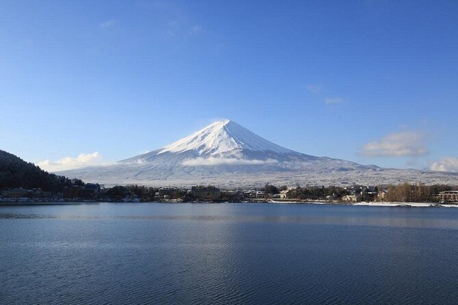 Mt. Fuji & Hakone 1 Day Bus Tour From Tokyo Station Area - Tour Considerations