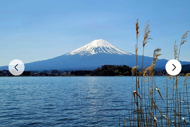 Mt. Fuji, Hakone Full-Day Private Tour With English Driver Guide - Positive Feedback on Driver/Guide