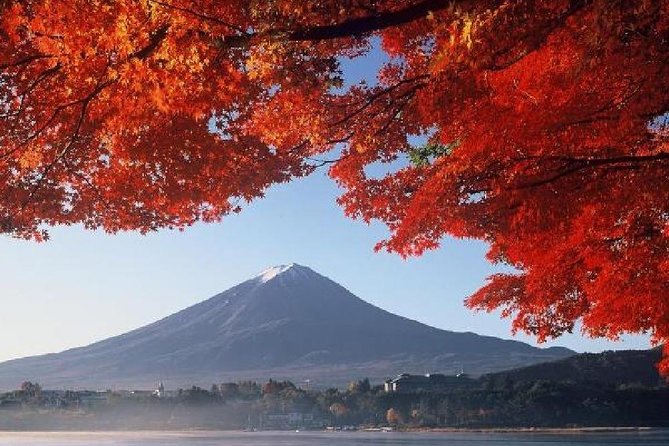 Mt Fuji, Hakone, Lake Ashi Cruise 1 Day Bus Trip From Tokyo - Why Choose This Tour