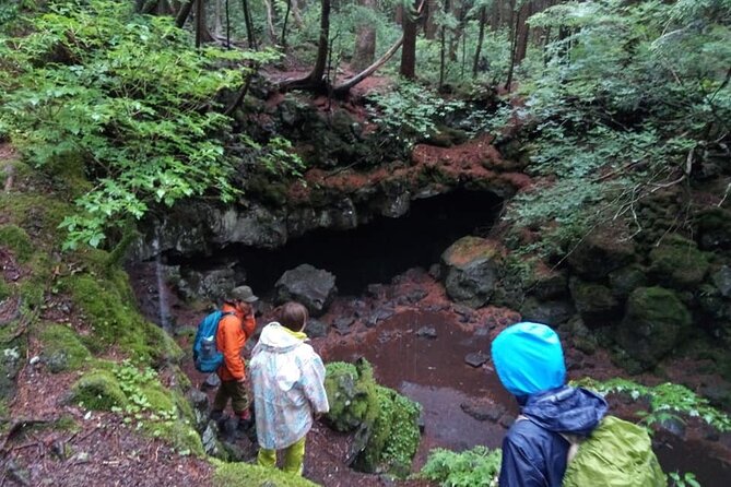 Mt Fuji Nature Guide for Family and Couple - Kayaking With Mt Fuji Views