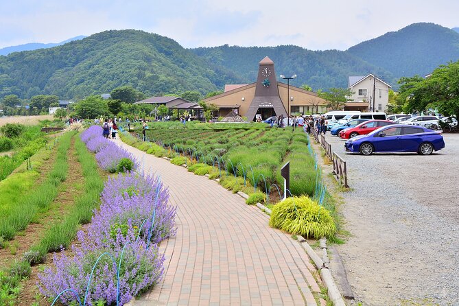 Mt.Fuji Tour: 3-Parks & The Healing Village in Fujiyoshida, Japan - Tour Highlights