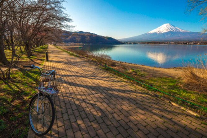 Mt. Fuji's Fifth Station & Lake Kawaguchiko Cycling Tour - Participant Requirements and Restrictions