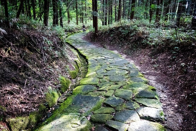 Nakasendo Self-Guided Walking Tour 2 Days - Traveler Experiences