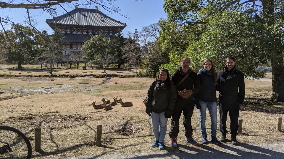 Nara: City Highlights Shared Group or Private Bike Tour - Experience