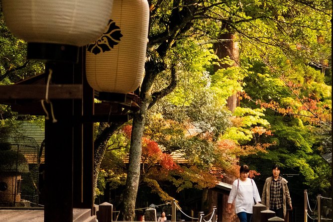 Nara Custom Half Day Tour - Tour Information and Requirements