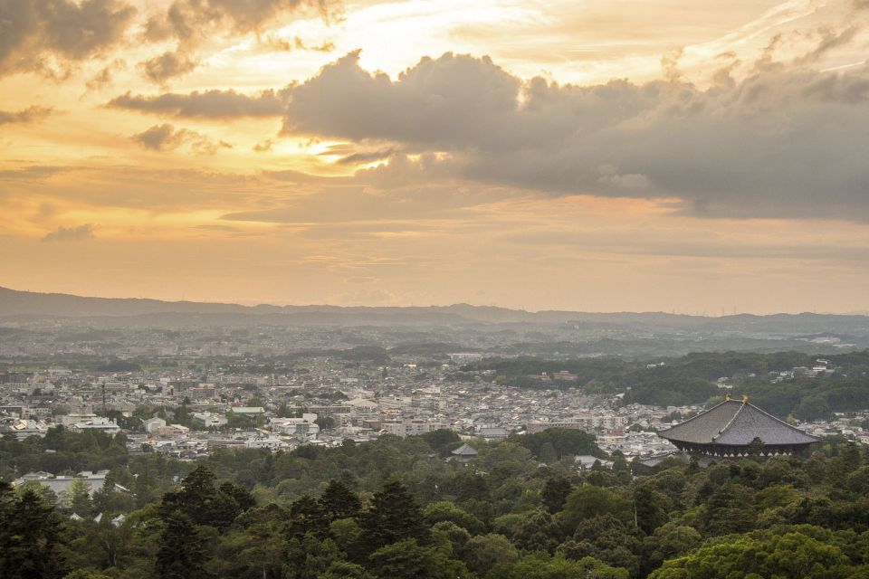 Nara Like a Local: Customized Guided Tour - Inclusions