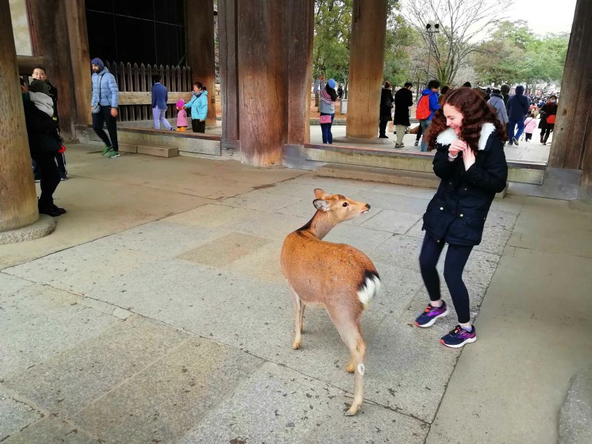 Nara: Nara Park Private Family Bike Tour With Lunch - Tour Experience