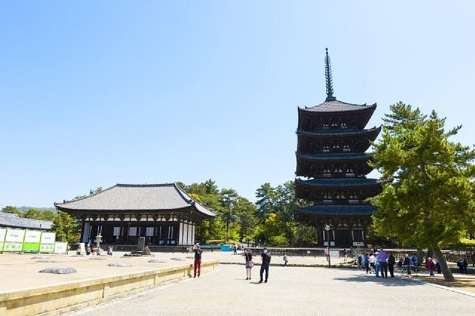 Nara Private Tour by Public Transportation From Kyoto - Traveler Reviews and Ratings