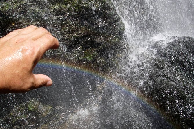 Nature Tour Around Waterfalls That Flow From the Beech Forest in Nishiwaga Town, Iwate Prefecture - Questions?