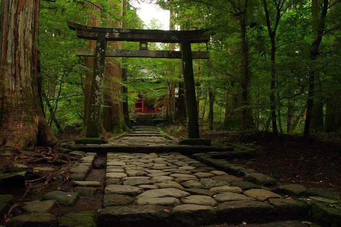 Nikko Custom Half Day Tour - Tour Details and Expectations