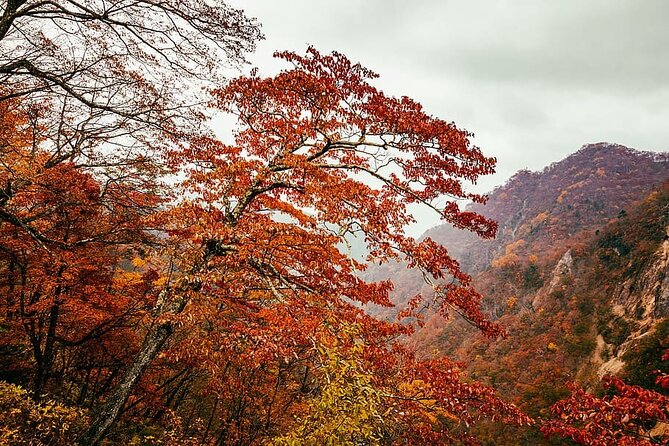 Nikko Private Day Trip With English Speaking Driver - Review Platforms and Ratings