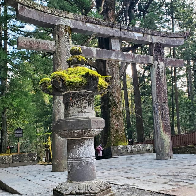 Nikko, Tochigi: Full Day Private Nature Tour W English Guide - Customer Review