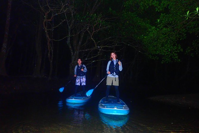 Okinawa Iriomote Night SUP/Canoe Tour in Iriomote Island - Expectations and Sightings