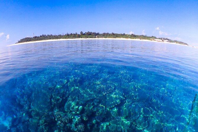 Okinawa Scuba Diving for Certified Divers (3 Boat Dives Lunch) - Lunch Menu Selection