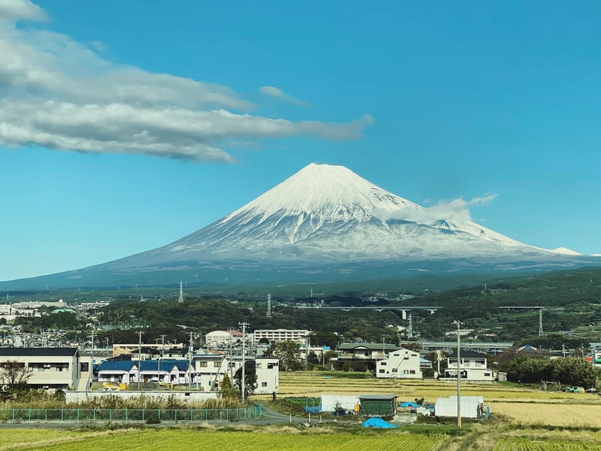 One Day Private Tour to Mt Fuji & Hakone With English Driver - Features