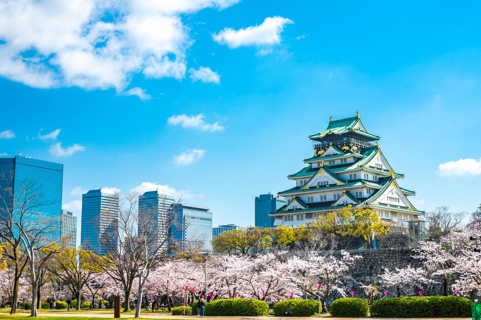 Osaka: 1-Day Private Customizable Trip by Car - Customization Options