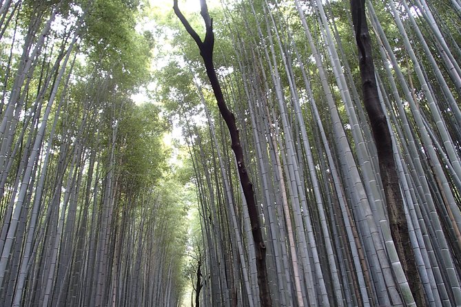 Private 1 Day Kyoto Tour Including Arashiyama Bamboo Grove and Golden Pavillion - Pickup Details